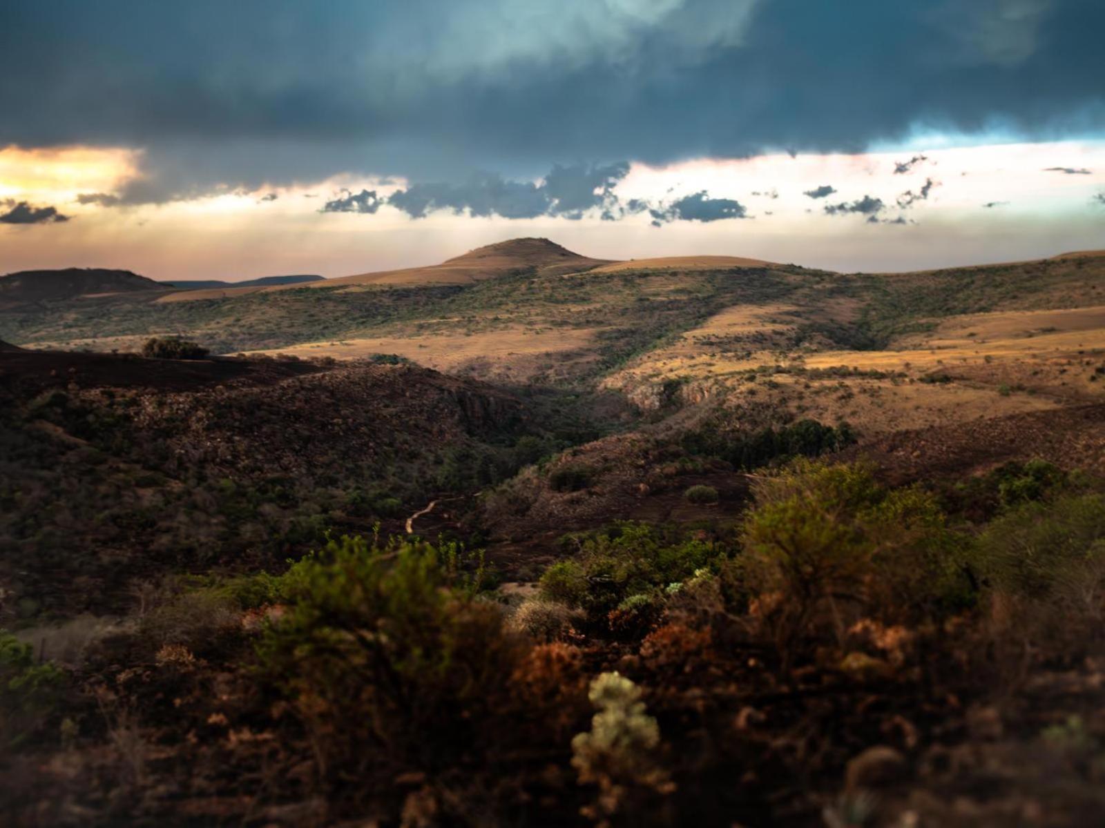 Riverbed Africa Машишинг Номер фото